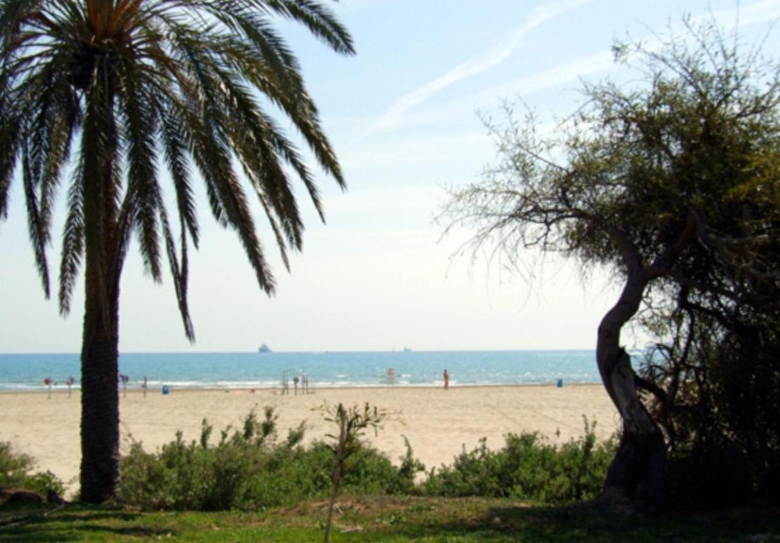 Una Isla En La Ciudad Castellón de la Plana Dış mekan fotoğraf