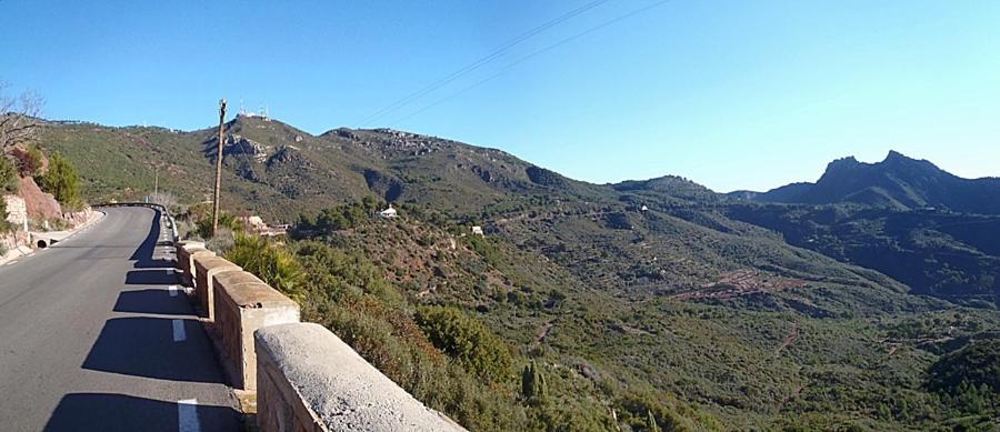 Una Isla En La Ciudad Castellón de la Plana Dış mekan fotoğraf