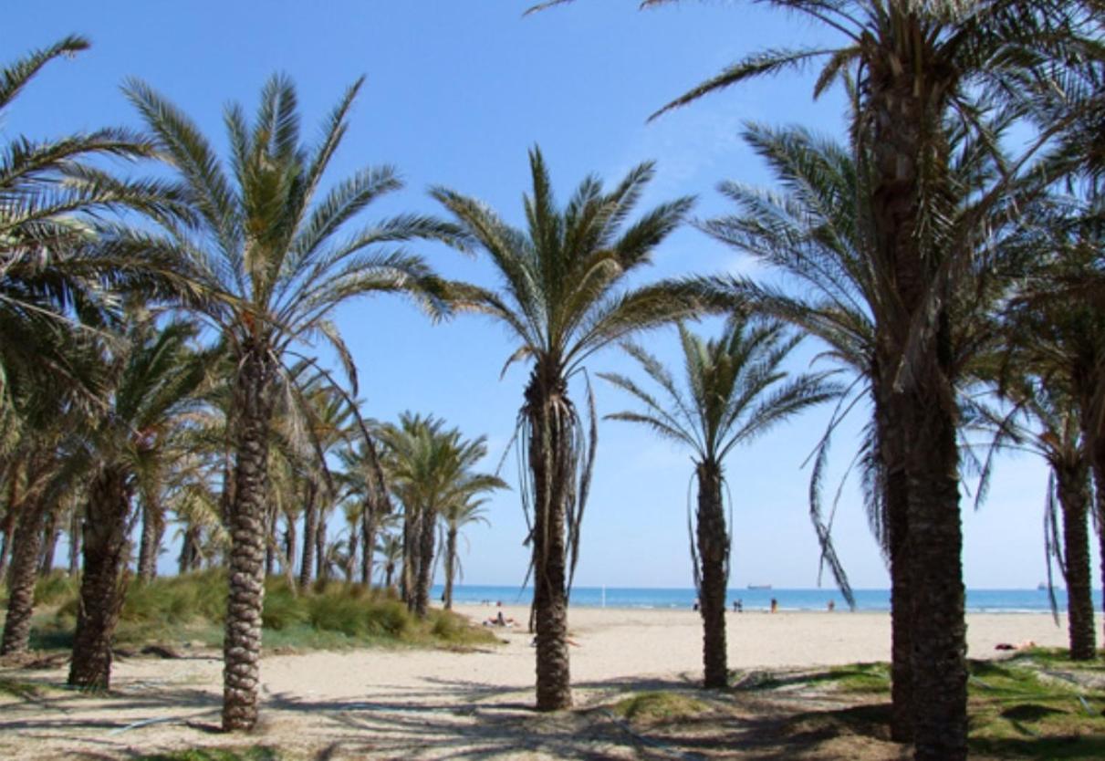 Una Isla En La Ciudad Castellón de la Plana Dış mekan fotoğraf